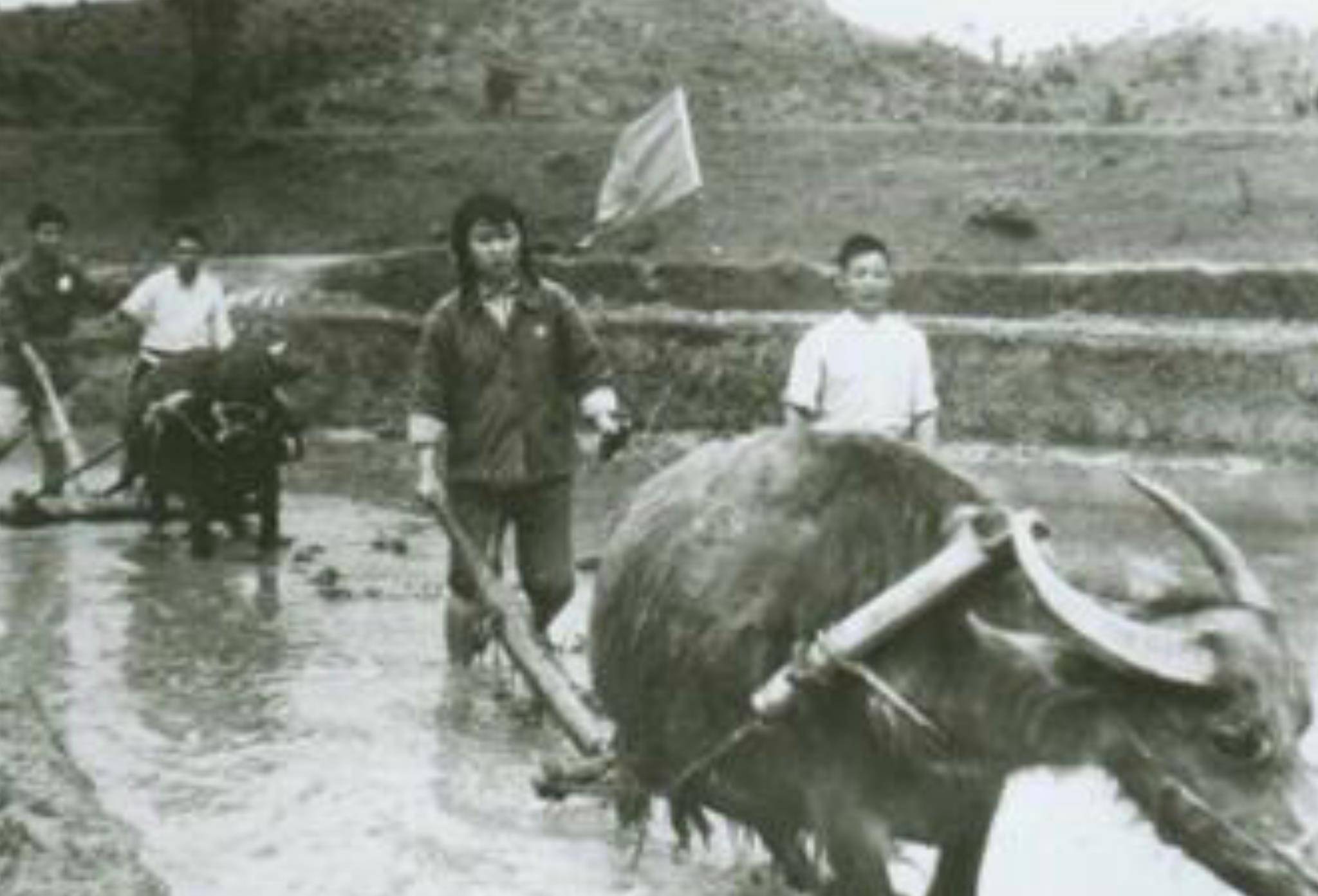 知青往事:江西农村的根旺大哥,成了她一生难以割舍的牵挂