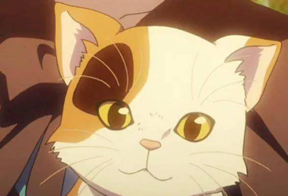 《贼猫》中的灵猫:四耳花猫,金玉奴,金丝虎,葫芦猫,长面罗汉