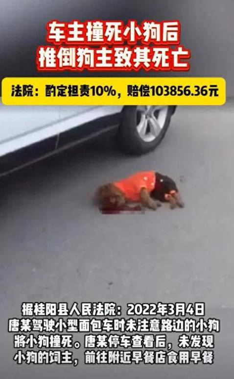 男子开车撞死小狗后,推倒饲主致其死亡,法院:酌定担责10%