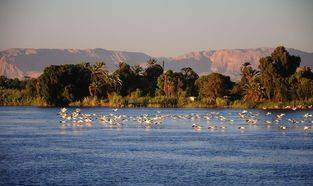   引起 尼罗河在哪里？为什么它是埃及的母亲河？是谁的生命之源？ 