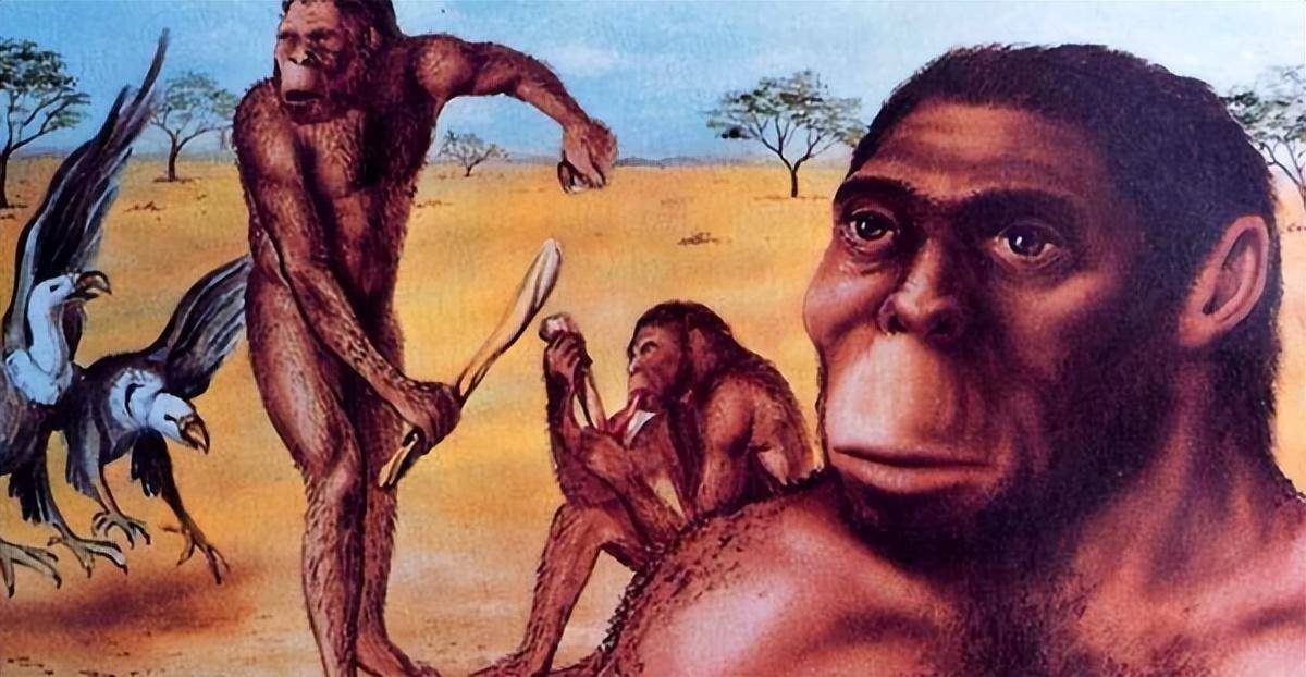 人类为何能进化成杂食动物?250万年前天灾降临,彻底改变了人类