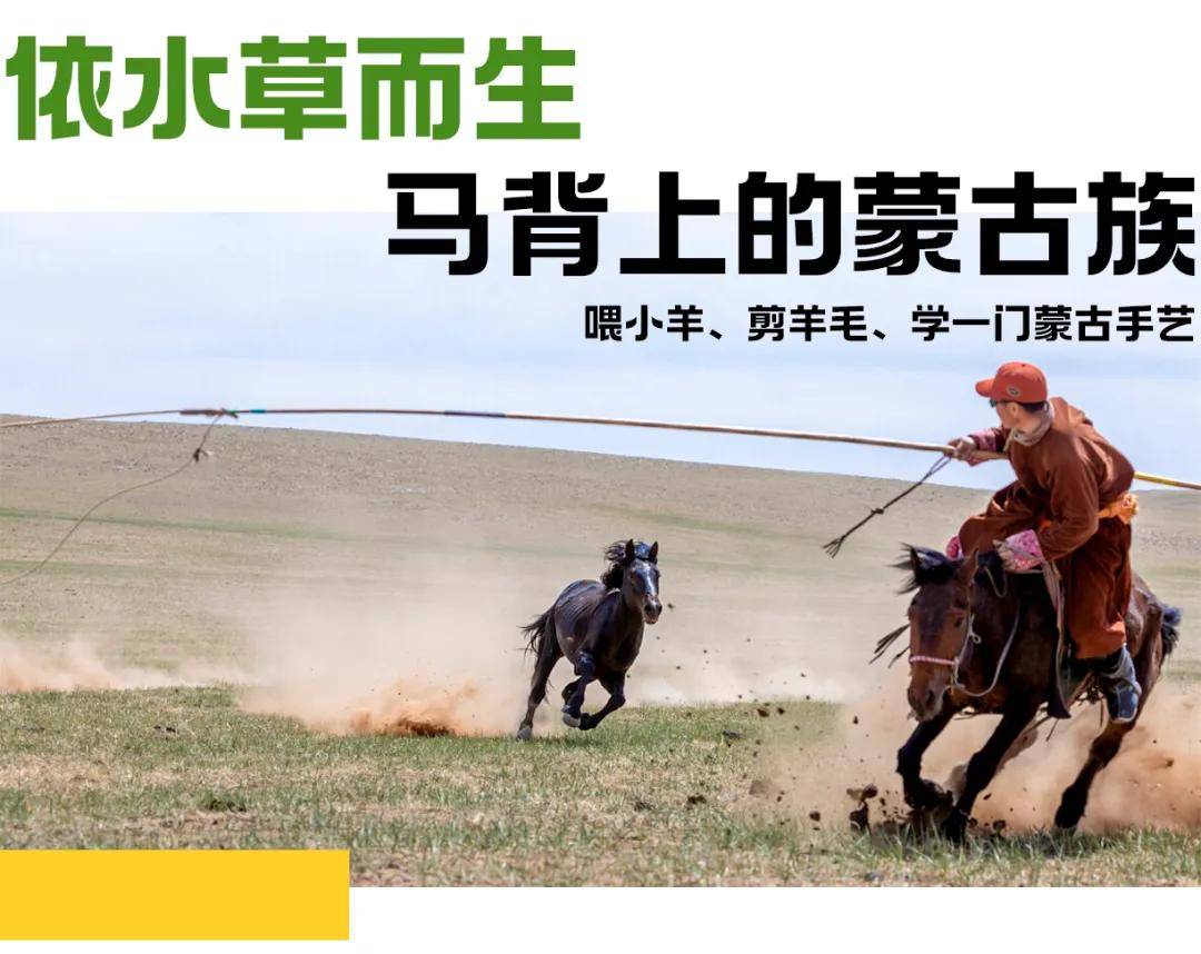 2024斯坦星球亲子研学·内蒙古 呼伦贝尔草原奇遇六天五晚亲子营