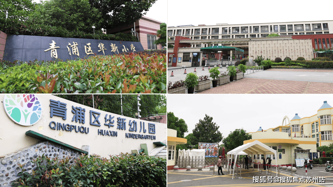 活动)漫步在街道上,耳边传来朗朗的读书声,板块内华新幼儿园,华新小学