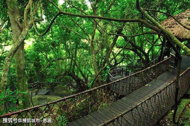 热带天堂森林公园攻略图片