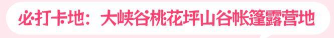 免门票啦！这个初夏，想和“你”一起遨游整个宝泉-宝泉游览区攻略
