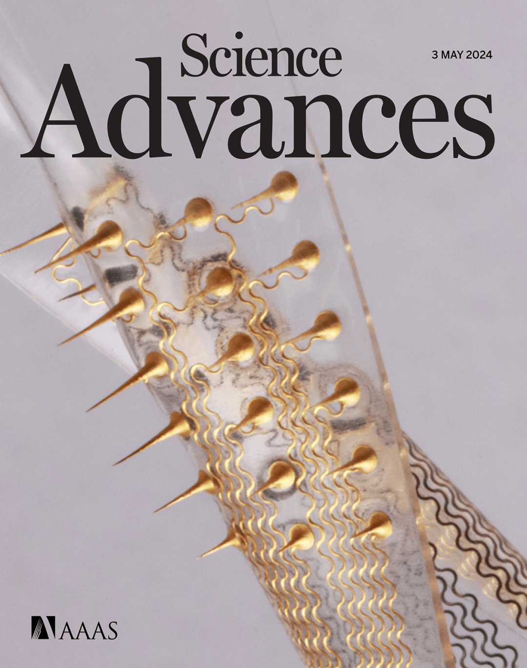 科学家研发新型微针电极阵列,可用于脑机接口和电化学传感