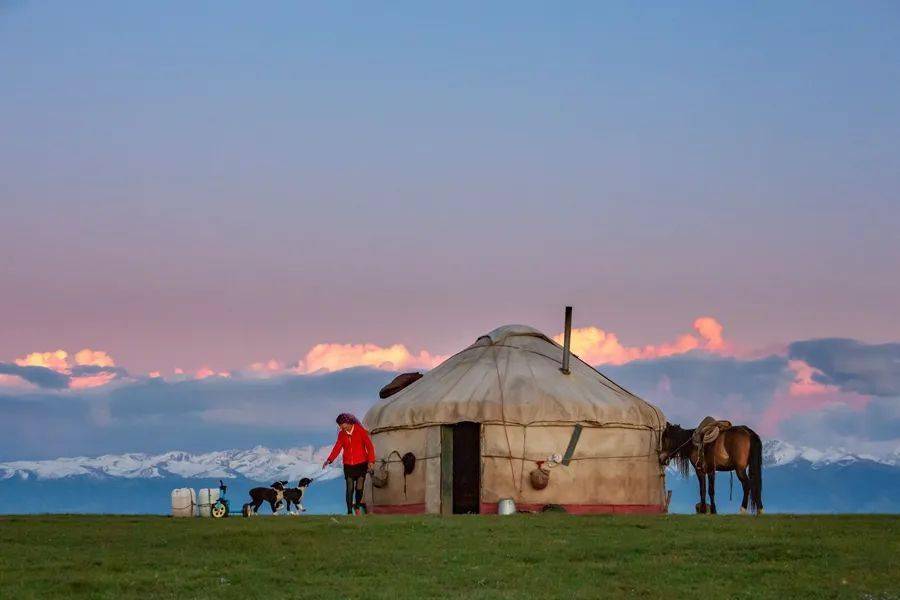 阿勒泰牧民为什么要转场?冬牧场和夏牧场,前山和深山,都有区别