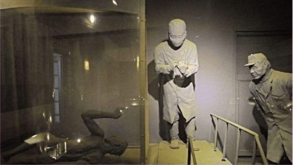 以一己之力终使日本承认细菌战,勇敢的历史守护者,中国女性王选