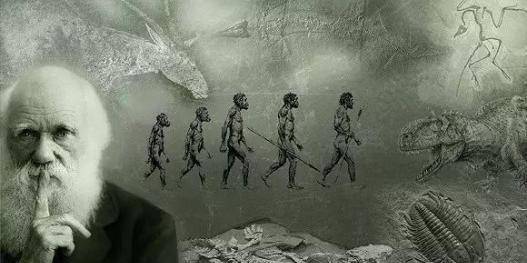 苏联当年开展了"人猿杂交"实验,招募了5名女性,结果怎样?