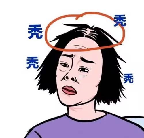 几款好评如潮的洗发水!