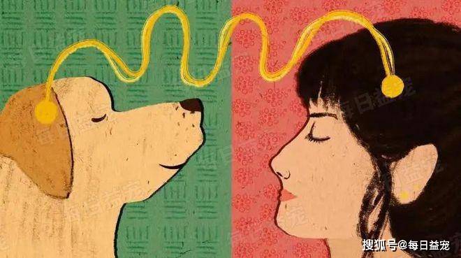 狗子莫名长胖,怎么减肥都没用,原因是对象出轨让它吃了两家饭