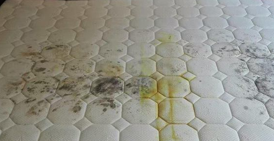 床垫半年不洗,细菌螨虫多!教你1笨方法,洗得干净又杀菌