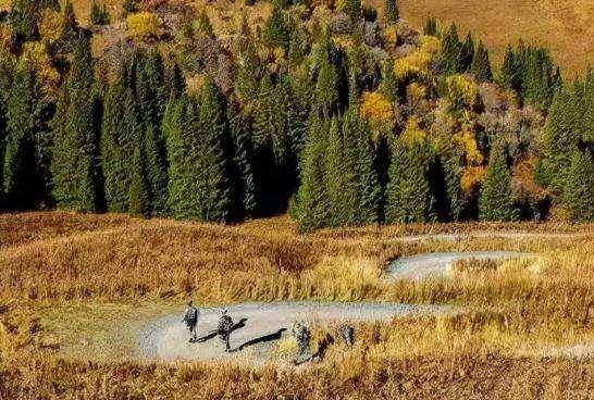 "最后净土"夏尔西里:1998年才回归我国,是如何失而复得的?