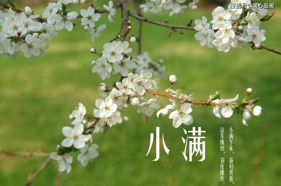 明日小满,再忙不忘"食3瓜,吃1肉",养阴清湿热,遵循老传统!