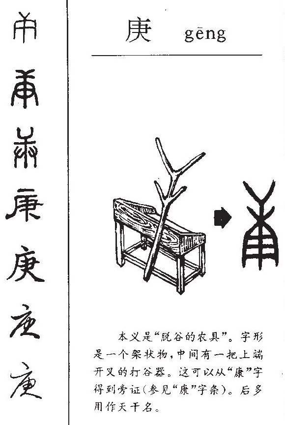 甲骨文的"庚"字字形是一个架状物,中间有一把上端开叉的打谷器.