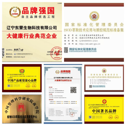 东蒙生物张成林: 打造sodju健康品 为人民健康保驾护航