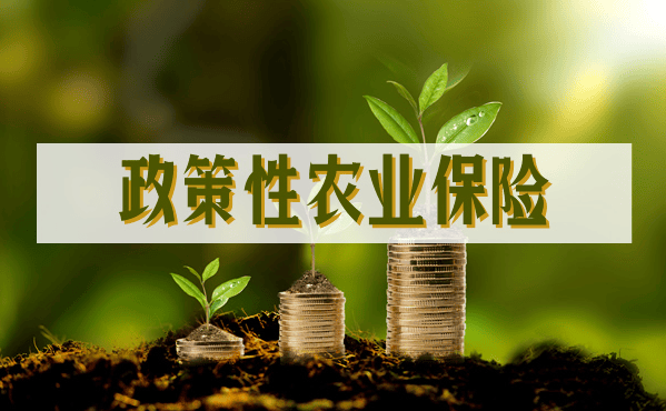 主粮农险扩面守好"粮袋子"_农业_保险_保障