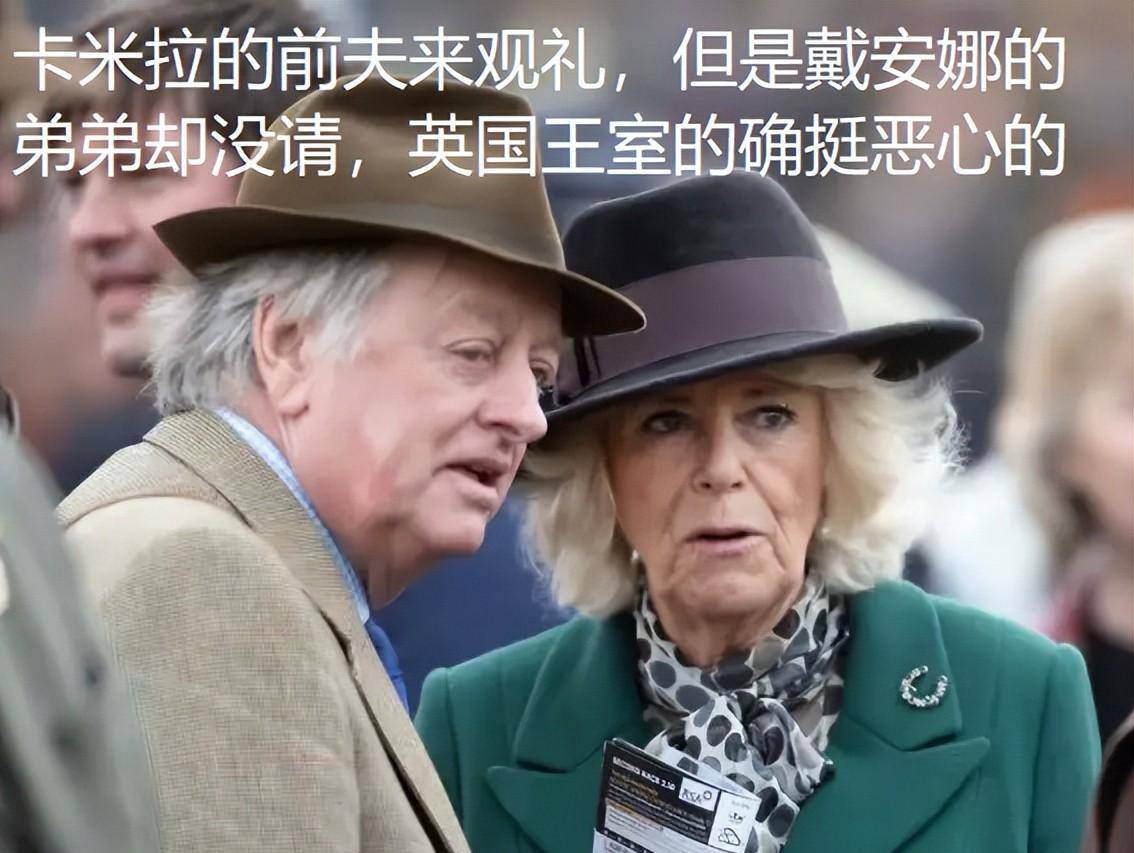 大英王室的确磕碜,一屋子皇子亲王,加起来也没剩几根头发,再加上日渐