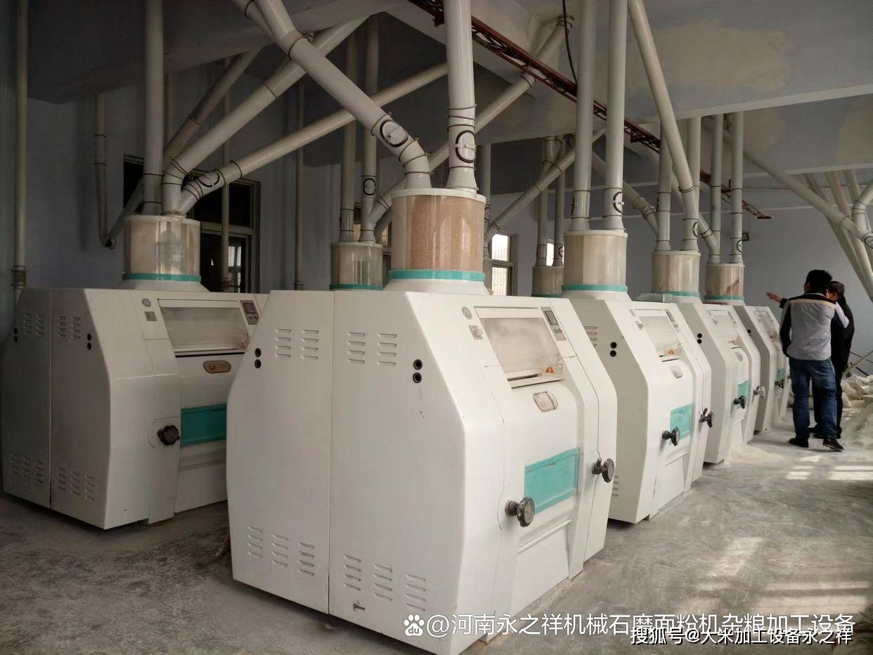 加工小麦面粉机提升面粉品质