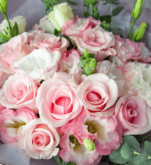 520 送礼物,这款手机值得考虑_ultra_find_鲜花