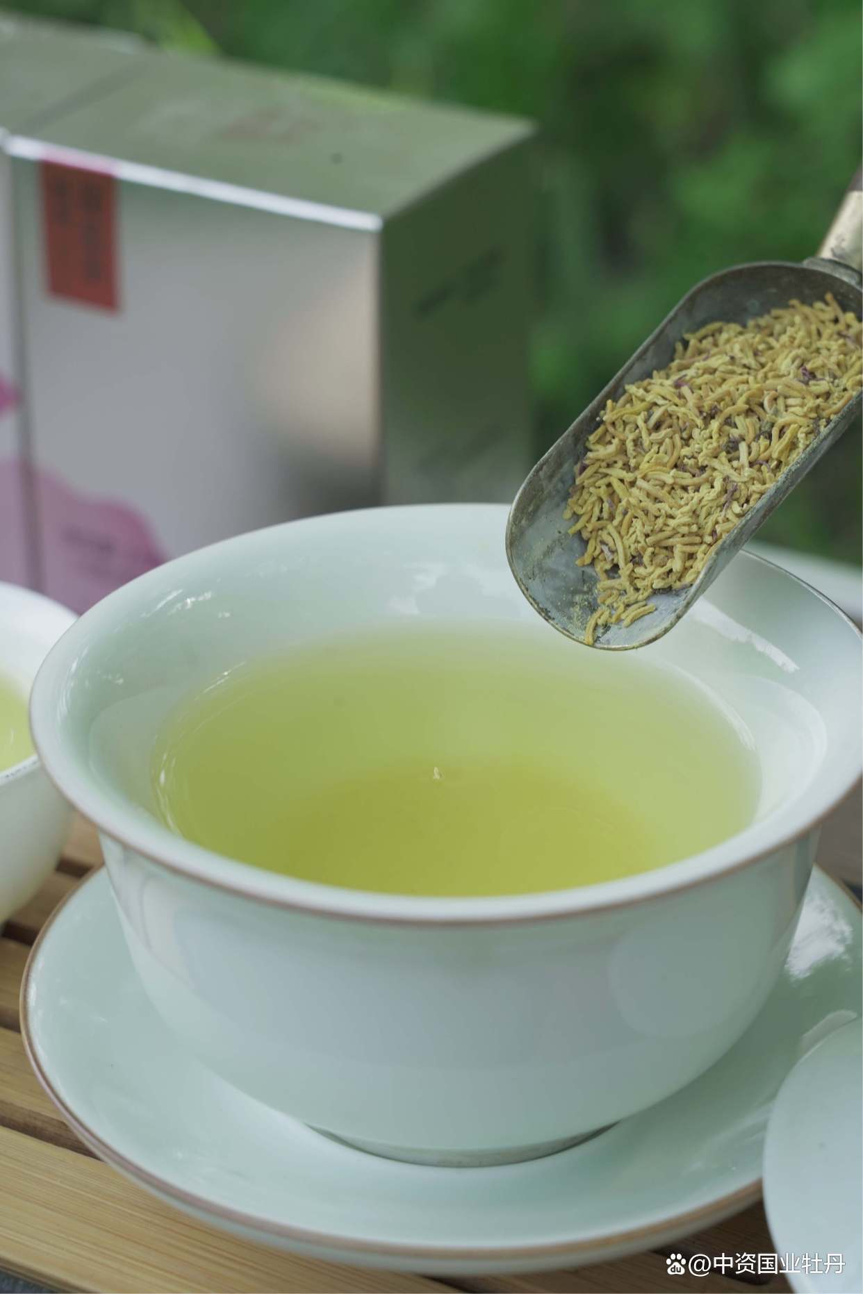 智健源丨解暑又养生,夏天多喝牡丹花蕊茶