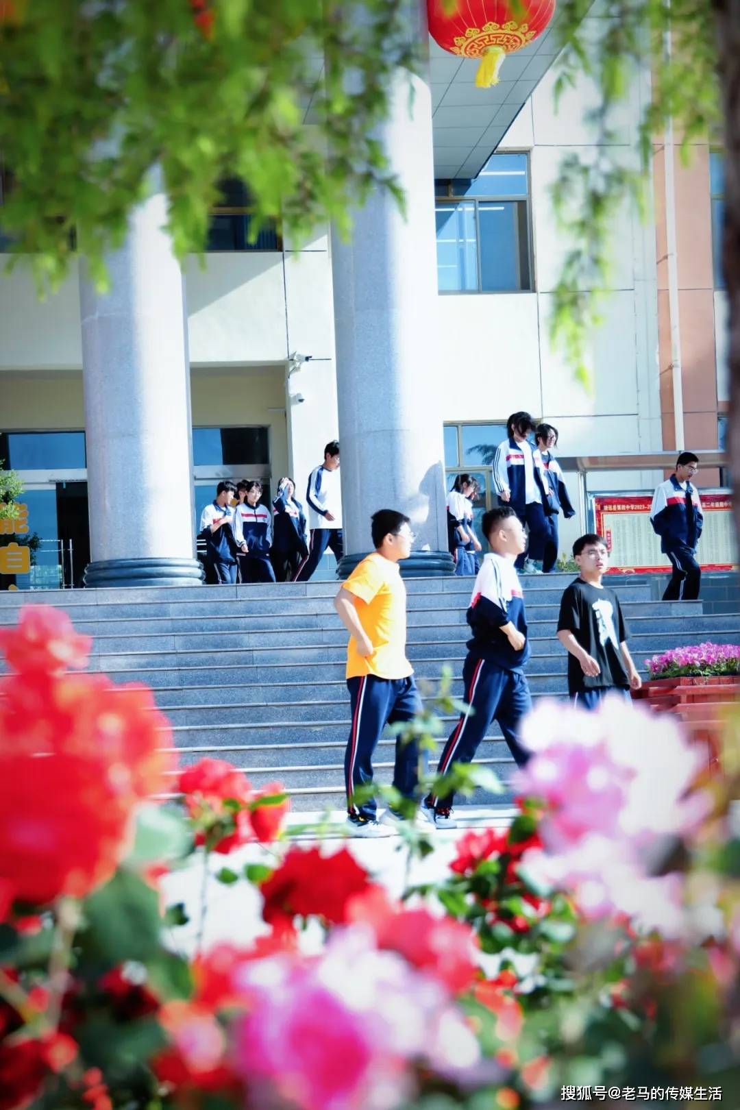 月季花开 香满校园——靖远四中校园美景