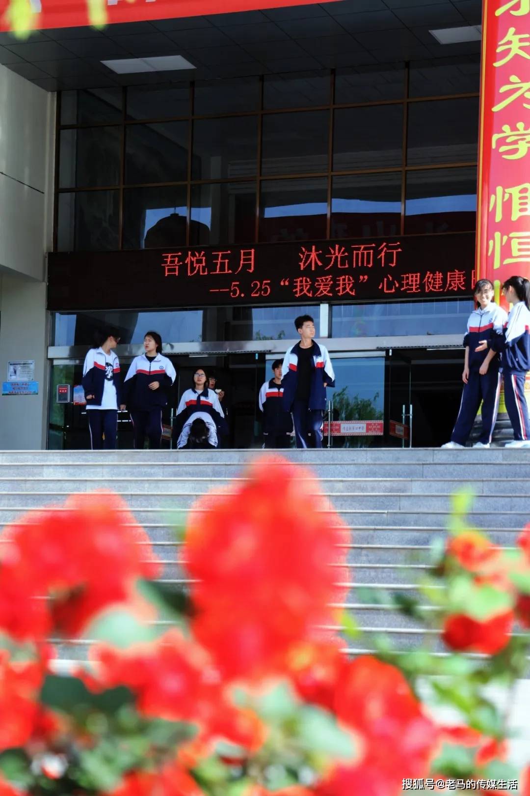 月季花开 香满校园——靖远四中校园美景