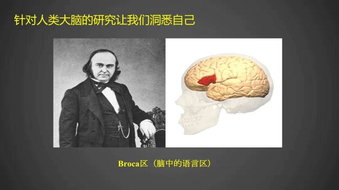 包爱民:致敬"无语良师",建设人脑组织库,存下未来的希望