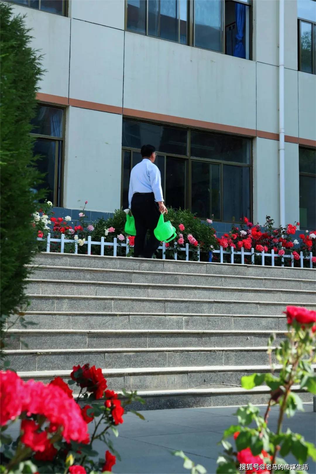 月季花开 香满校园——靖远四中校园美景