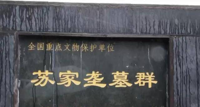 千年古墓两次被盗,盗墓贼对神秘物品念念不忘,警方追回国宝