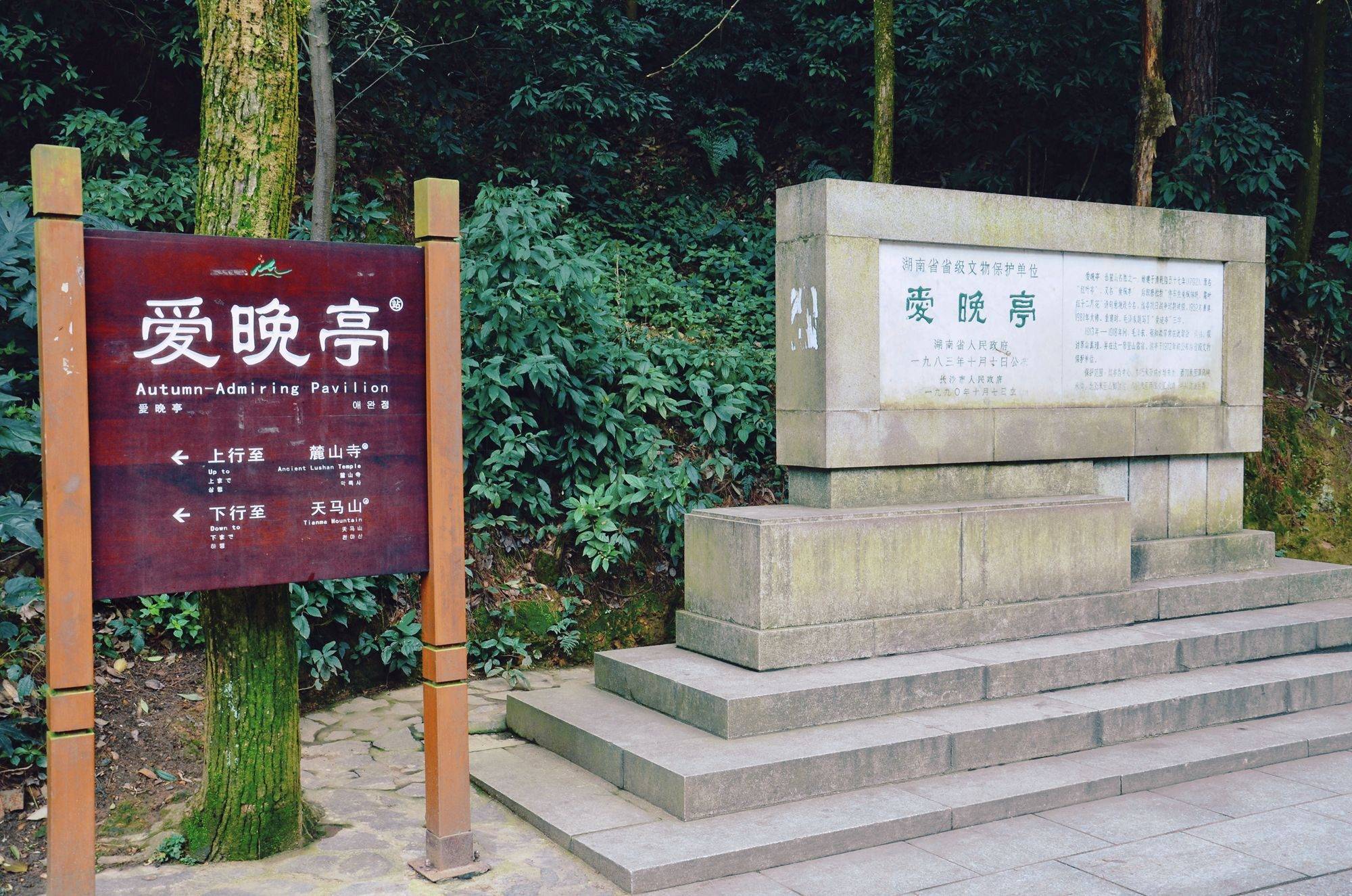 长沙岳麓山,仅300米高,却藏着深厚的文化底蕴,吸引了众多游客