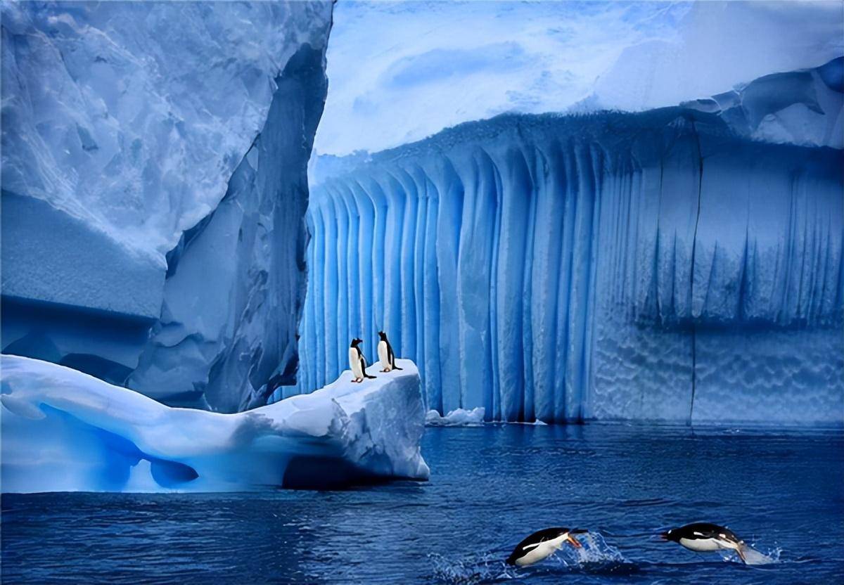 南极冰下800米处,出现"第二世界",人类对生命的认知被颠覆?