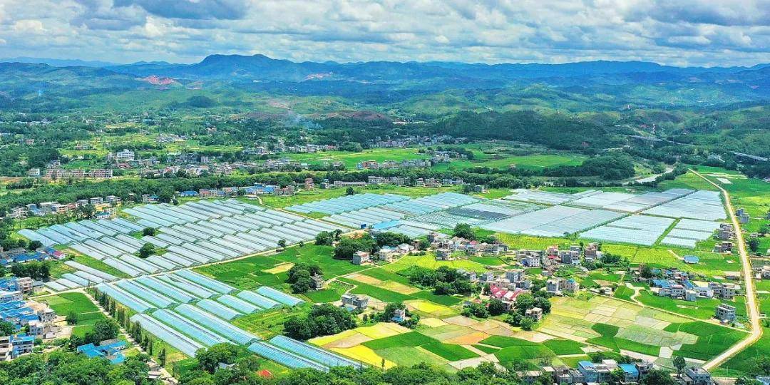 农业生产托管服务:中国农业生产模式转型新路径