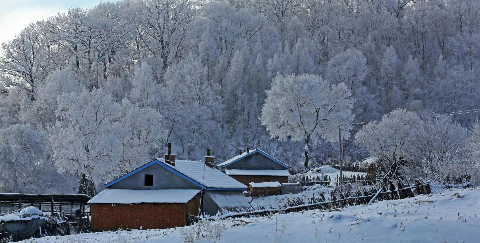 女儿呀你在哪里?女知青失踪40多年无消息,猎人说她被狼吃了
