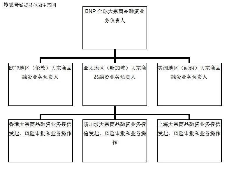 大宗商品贸易融资风险防范与授信策略