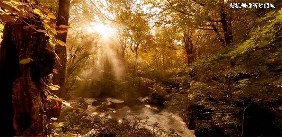 中国森林覆盖率达到了23%,你知道古代森林覆盖率最高是多少吗?