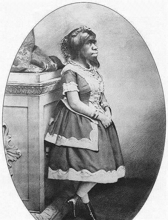 西奥多是一个非常精明的人,他认识朱丽亚并不是因为自己多有爱心,而是