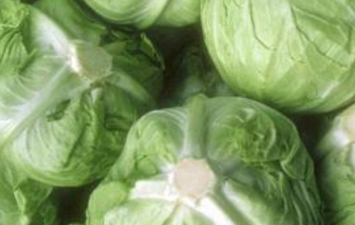 菠萝_甘蓝_胃肠