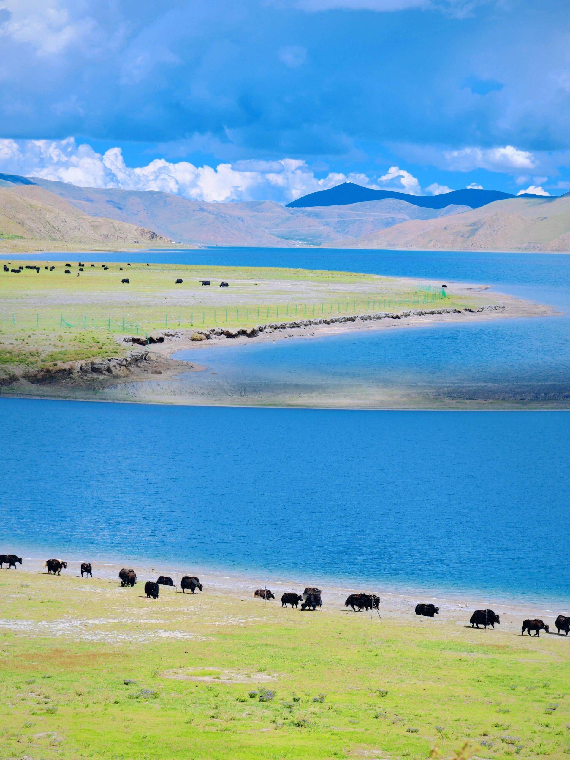 西藏旅游分享,去西藏拉萨林芝羊湖南迦巴瓦峰路线规划