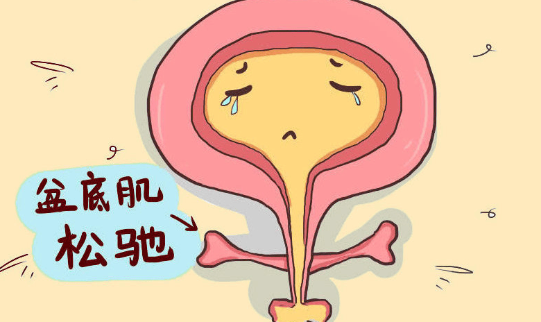 老年尿失禁怎么调理?