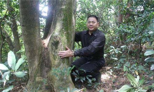 清朝3吨重龙床现世,专家希望他能捐给国家,收藏家:先给我5亿