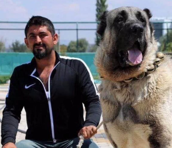 全球5大高原猛犬,中国两獒在列,其中它还有一段传奇经历