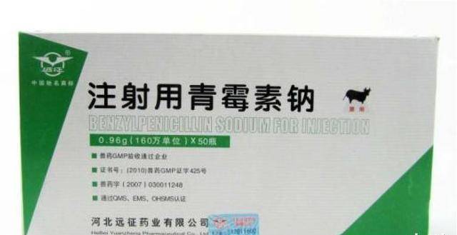 那些不经意间的发明(发现),造福了全世界_培养基_诺贝尔_木屑