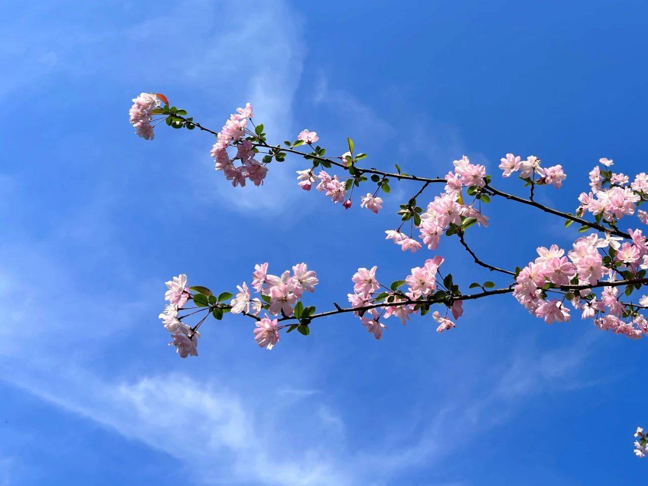 原创            中年女人，幸福感匮乏的主要原因，多半来自3件事-中年女人的幸福与四件事有关