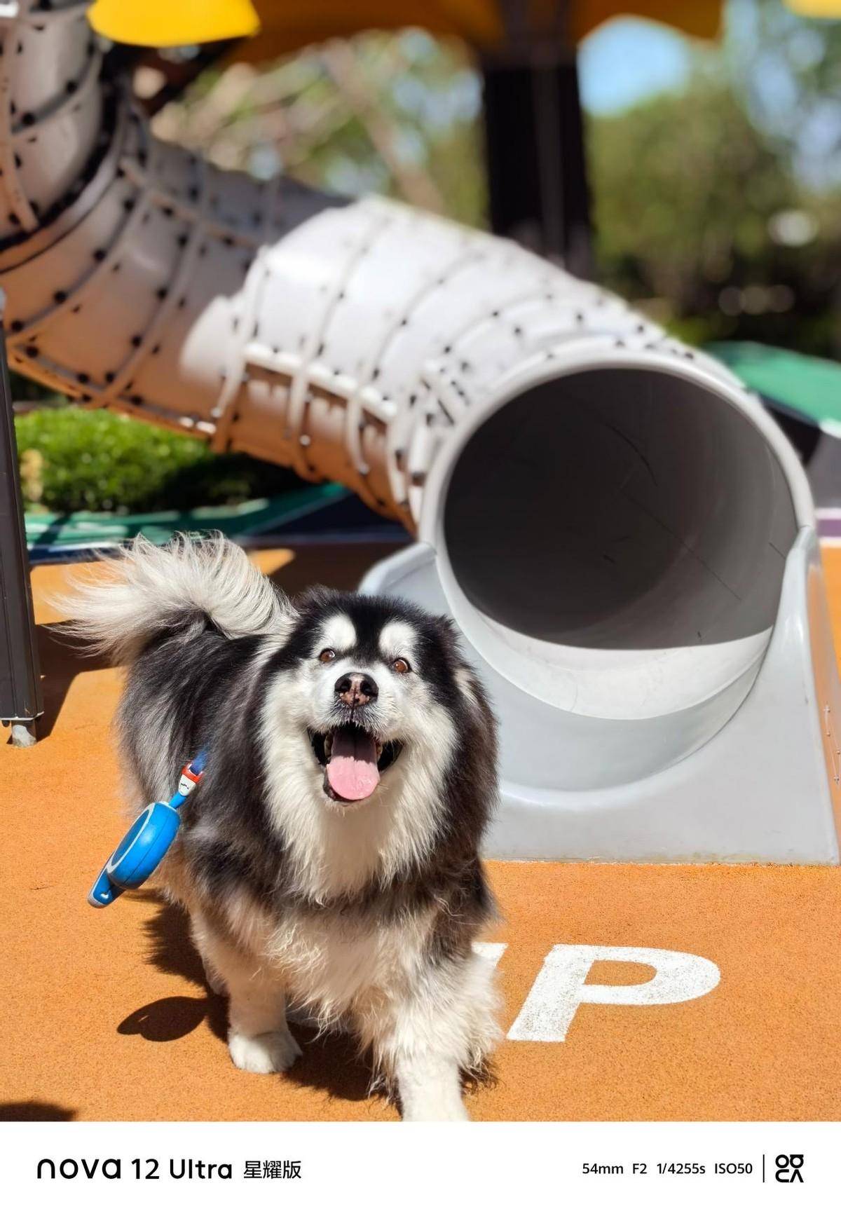 时尚先锋全能人像,华为nova 12系列:记录美好每一刻!