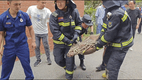 崔国平_铜陵_狮子山派出所