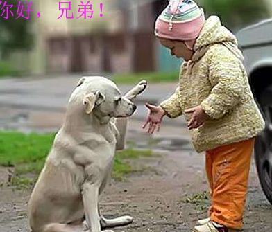 搞笑段子笑话图片:媳妇,你吃泡面戴手表,这是为啥?
