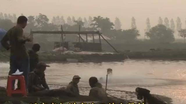 2008年,湖北男子花20万买了一条受伤的鲶鱼,3年后靠它年入1亿元