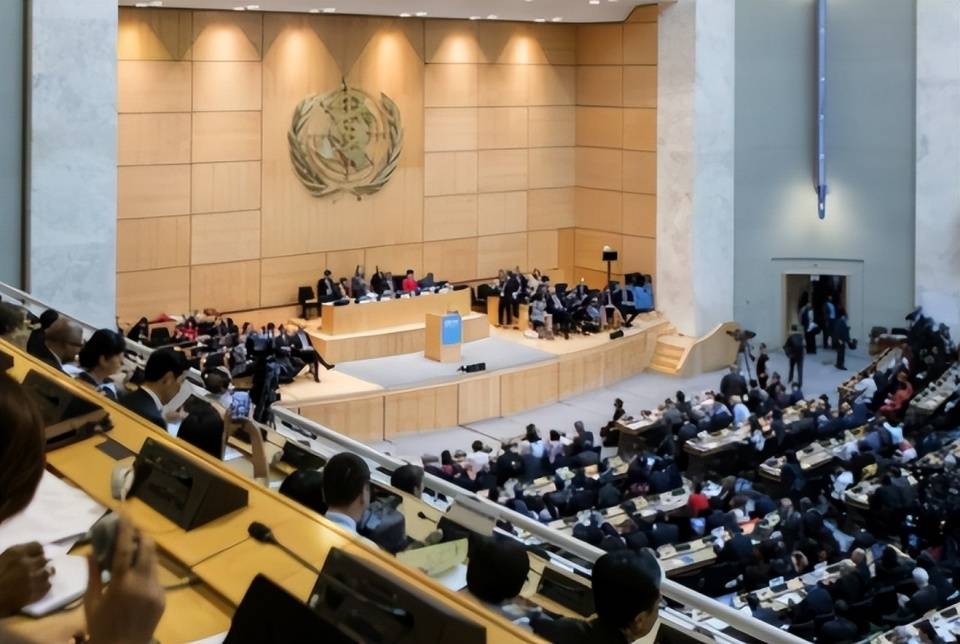 世卫大会开幕,台当局"蹭会"失败后,又唆使部分国家抛涉台提案_台湾