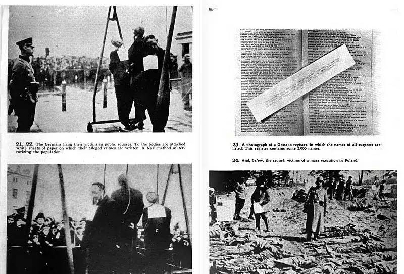 德军在占领波兰期间屠杀了大量无辜平民犹太人莅临奥斯维辛考察的 党